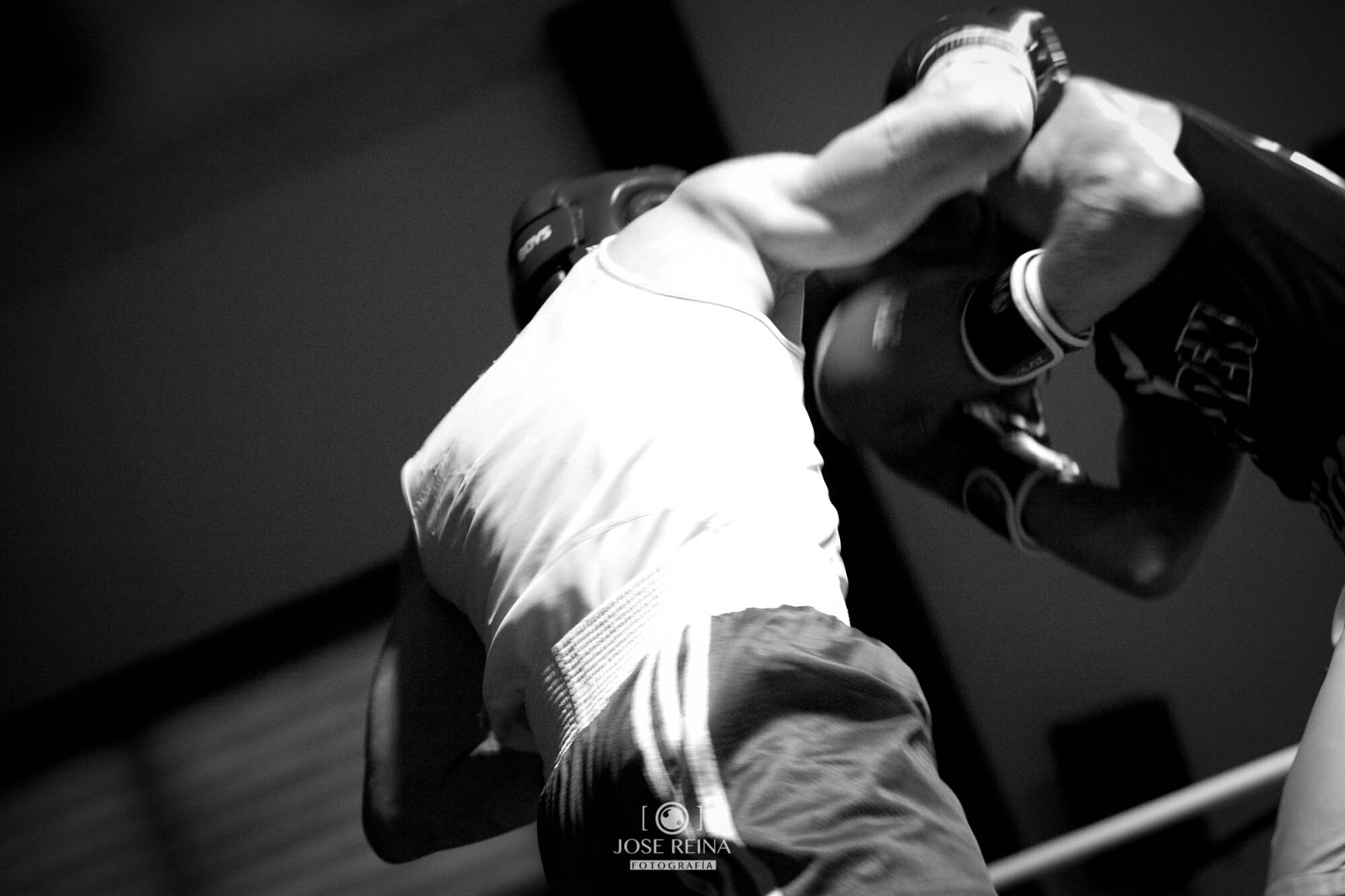 fotografo boxeo deportivo-10