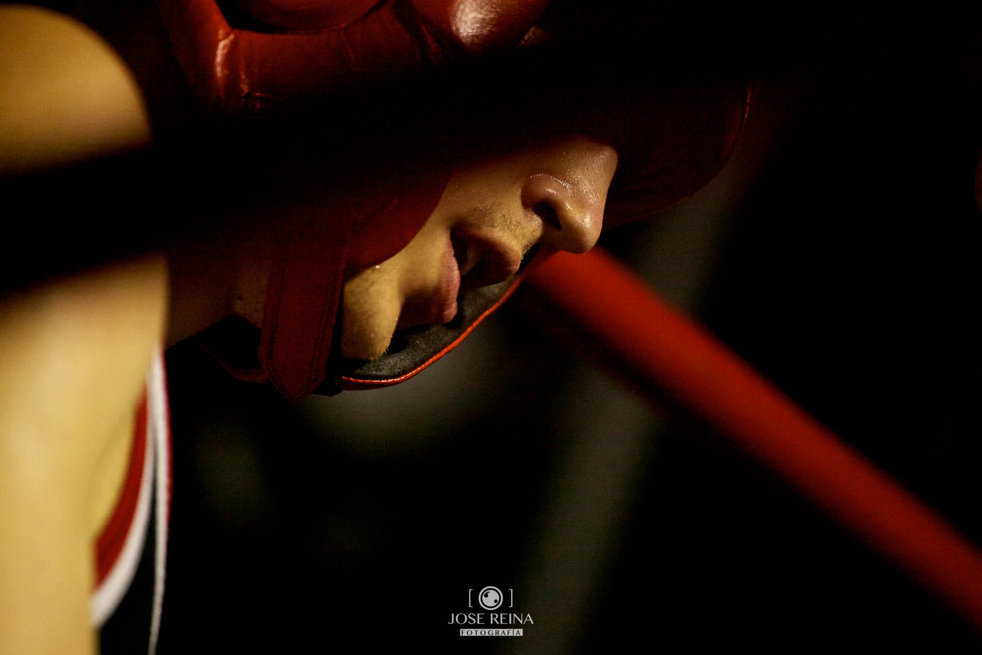 fotografo boxeo deportivo-14