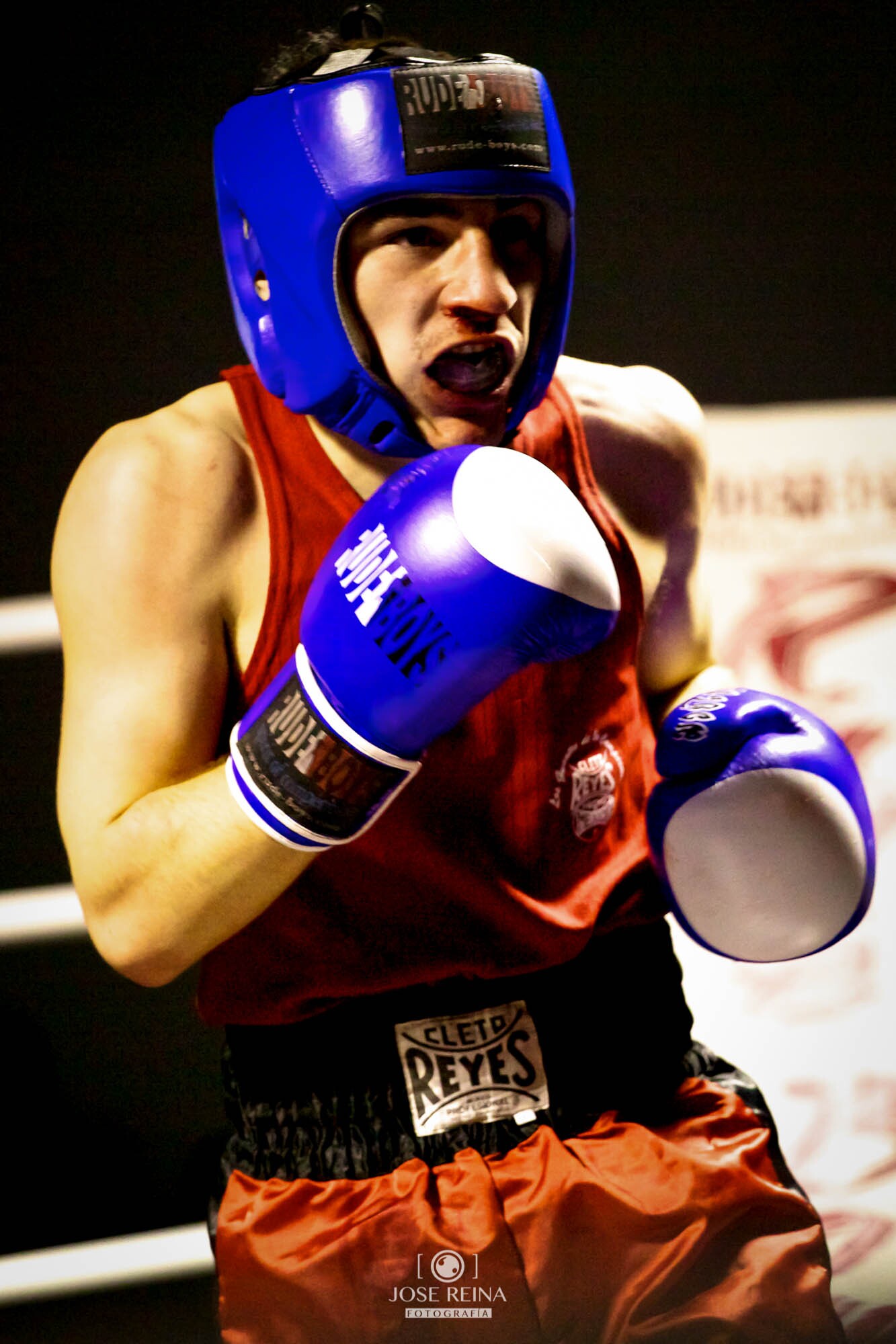 fotografo boxeo deportivo